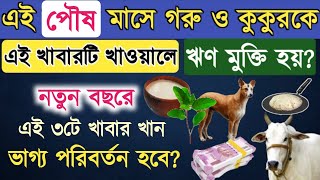 গোমাতা ও কুকুরকে এই ১টি খাবার খাওয়ান অর্থ আসবে? নতুন বছরে এই ৩টে খাবার খান ভাগ্য পরিবর্তন হবে?