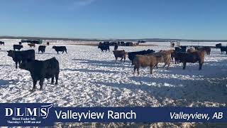 DLMS Direct - Valleyview Ranch