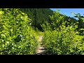 bosumarne falls hike chilliwack bc canada