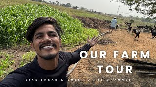 Hamara farm | daily vlogs |. #gulbarga