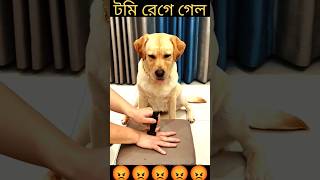 টমির সাথে চিটিং 😡😡#subscribe #viral #shorts #ytshorts@MRINDIANHACKER @MrBeast