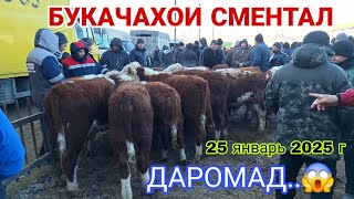 МОЛБОЗОРИ ИСТАРАВШАН! СМЕНТАЛ БУКАЧАХО ДАРОМАД/ #rek #khujand #reels