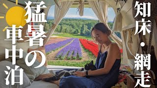 【真夏の車中泊】車に住む夫婦と猫のゆったり旅 in 北海道。死ぬまでに見たい絶景が〇〇にあった。