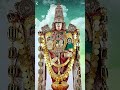 thirumala thirupati 🌺🌺 sri venkateswara swami devotional trending yt shorts telugu 🙏🙏🌺🌺