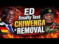 ED finally test Chiwenga removal, Temba Mliswa calls for it, Watch T-shirts printed