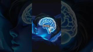 What happens to your brain when you dream