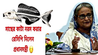 যারা কাটার ভয়ে মাছ খায় না তাদের জন্য সুসংবাদ,প্রধানমন্ত্রী মাছের কাটা নরম করার চমৎকার রেসিপি দিলেন