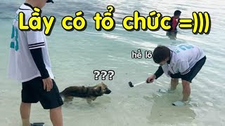 [BTS funny moments #27] Lầy có tổ chức =))) (Phần 1)