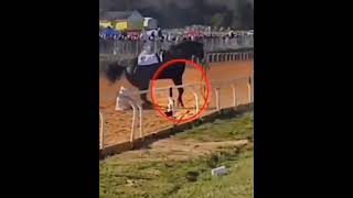 Scary Accident in Horse Racing