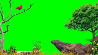Nature Green Screen / Jungle Green Screen / Background Video Effects hd / Green Screen Effects