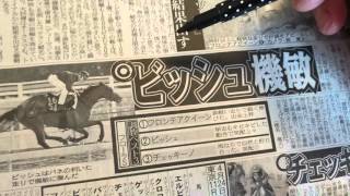 【競馬】第47回マイラーズC\u0026第51回フローラS『注目馬番号！』注目馬！