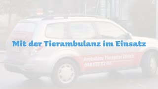 Mit der Tierambulanz im Einsatz