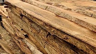 kayu jati seharga voucher internet bos untung selangit per 100 lembarnya woodworking || sawmill