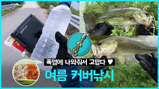 [배스낚시] 여름 커버낚시 마리수 