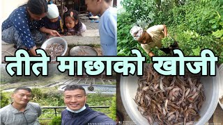 Local Fish Hunting | तीते माछा | Local | Nirmal Sunuwar | Nischal Sunuwar | Ramechhap | Trout Fish |