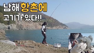 [신컨TV]남해 항촌에 고기가 있다!!