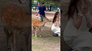 可愛い鹿と記念撮影する外国人観光客🦌奈良公園