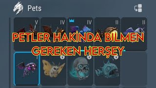 PETLER HAKKİNDA BİLMEN GEREKENLER // TÜRKCE FROSTBORN