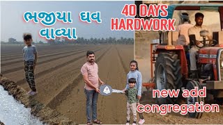 ભજીયા ઘવ વાવ્યા || ન્યૂ એડડ || 40 દિવસ full hardwork #farming #khetibadi