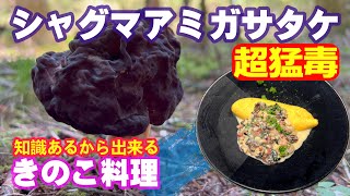 【きのこ狩り】シャグマアミガサタケを使ってチーズインオムレツシャグマアミガサタケクリームソース添えをつくる