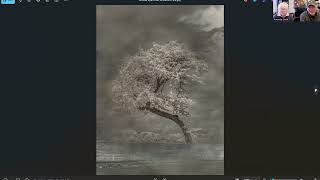 GalleryTalk | trees