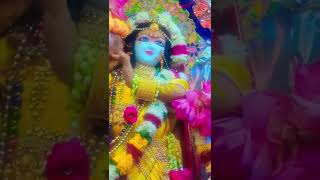 Atma rama Ananda Ramana || #radhakrishna #reel #god #religion #ytshorts #trending #love #viral