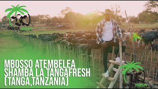 Mbosso Atembelea Shamba la Tangafresh (Tanga,Tanzania)