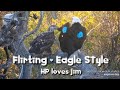 Flirting: Eagle Style on Fraser Point ~ Explore.org 3/8/21