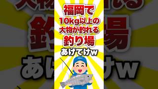 福岡で10kg以上の大物が狙える釣り場あげてけww #shorts #釣り