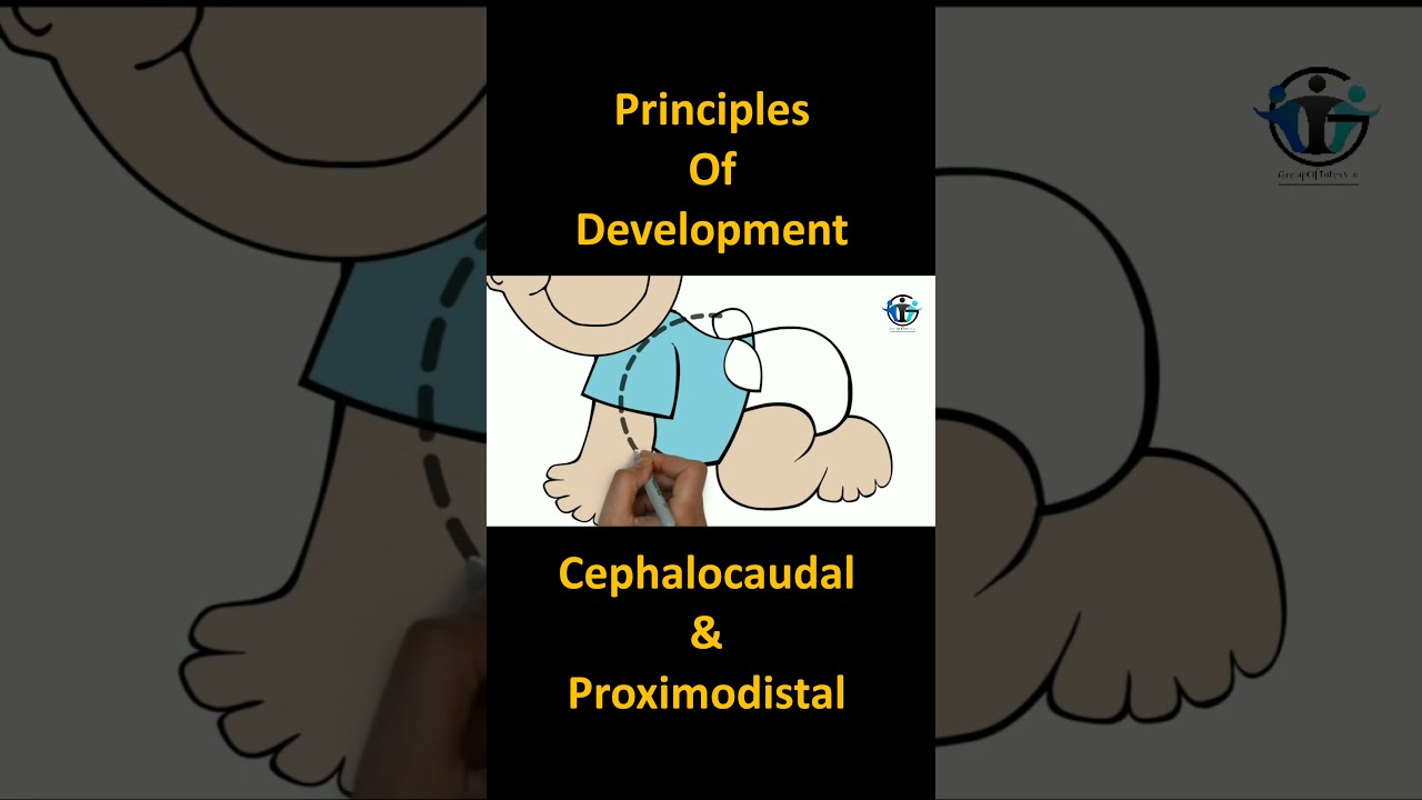 Cephalocaudal And Proximodistal Principles Of Development | #shorts # ...