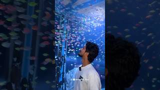 🔥10കോടി ചിലവിൽ ഒരു underwater tunnel aquarium ❗️😍| Bonappetit vlogs