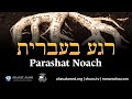 Regah Bivrit 5784 Shorashim Edition: Noach