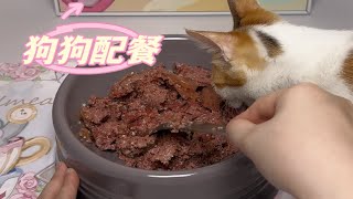 狗狗配餐｜ SG羊