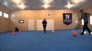 Jack (Poodle) Boot Camp Dog Training Video