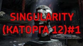 SINGULARITY (КАТОРГА 12)#1