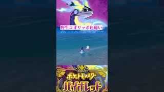 野生コオリッポ色違い【ポケモンSV】 #shorts