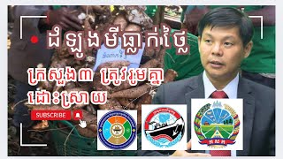 បណ្ឌិត គី សេរីវឌ្ឍន៍: ក្រសួង៣ត្រូវរួមគ្នាដើម្បីដោះស្រាយបញ្ហាដំឡូងមីធ្លាក់ថ្លៃ