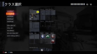 BO3ぼっちでレベル上げする