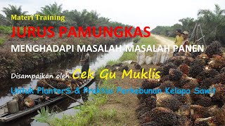 Jurus Pamungkas Mengatasi Masalah-Masalah Panen@cekgumuklis4351