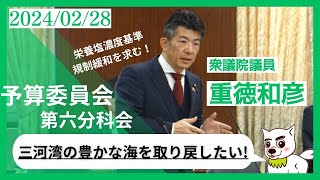 【質疑動画】2024年2月28日 予算委員会第六文科会 「三河湾の豊かな海を取り戻したい！」