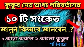 কুকুর দিয়ে থাকে হঠাৎ টাকা পাওয়ার সংকেত / কুকুরের শুভ লক্ষণ এবং অশুভ লক্ষণ।🪔 Krishna lessons