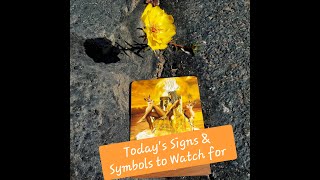 Today's Signs & Symbols to watch for: Bridges, Tiger Striped Cats, Streams #tarot#zodiac