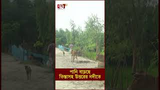 পানি বাড়ছে তিস্তাসহ উত্তরের নদীতে