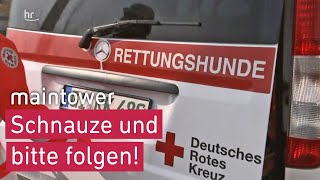 Unterwegs mit der Rettungshundestaffel - POV bei der Hundeprüfung | maintower