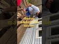 decking makeover surprises familyvlog nepaliyoutube uk nepali buhari ramo mixedfamilyvlogs