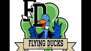 Flying Ducks Video Report