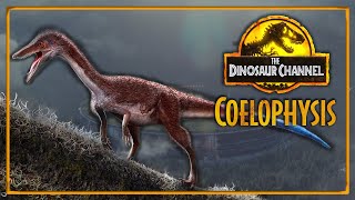 What Was The Coelophysis? - The Dinosaur Channel