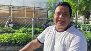 কানাডা জুড়ে চলছে সামারে বাগান করার উৎসব_ Summer Gardening Canada# Mohammed Sakibur Rahman Khan