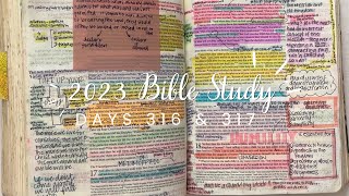 Study the Bible in One Year: DAYS 316 & 317  Matthew 27, Mark 15, Luke 23, John 18-19