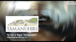Design of the Tairawhiti Maori Land Service
